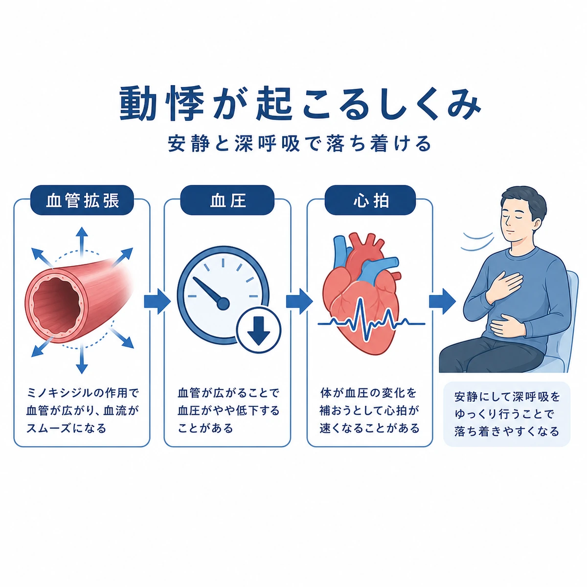血管拡張から心拍上昇へと動悸が起こる流れを表した医療イラスト