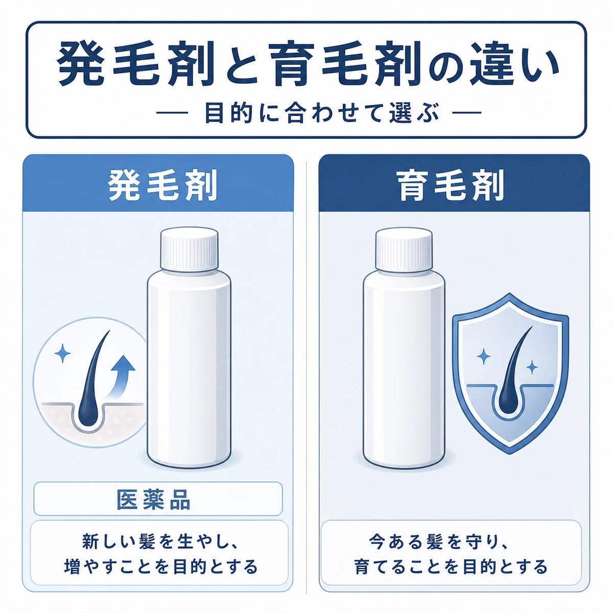 発毛剤と育毛剤の役割の違いを左右で比べた医療イラスト
