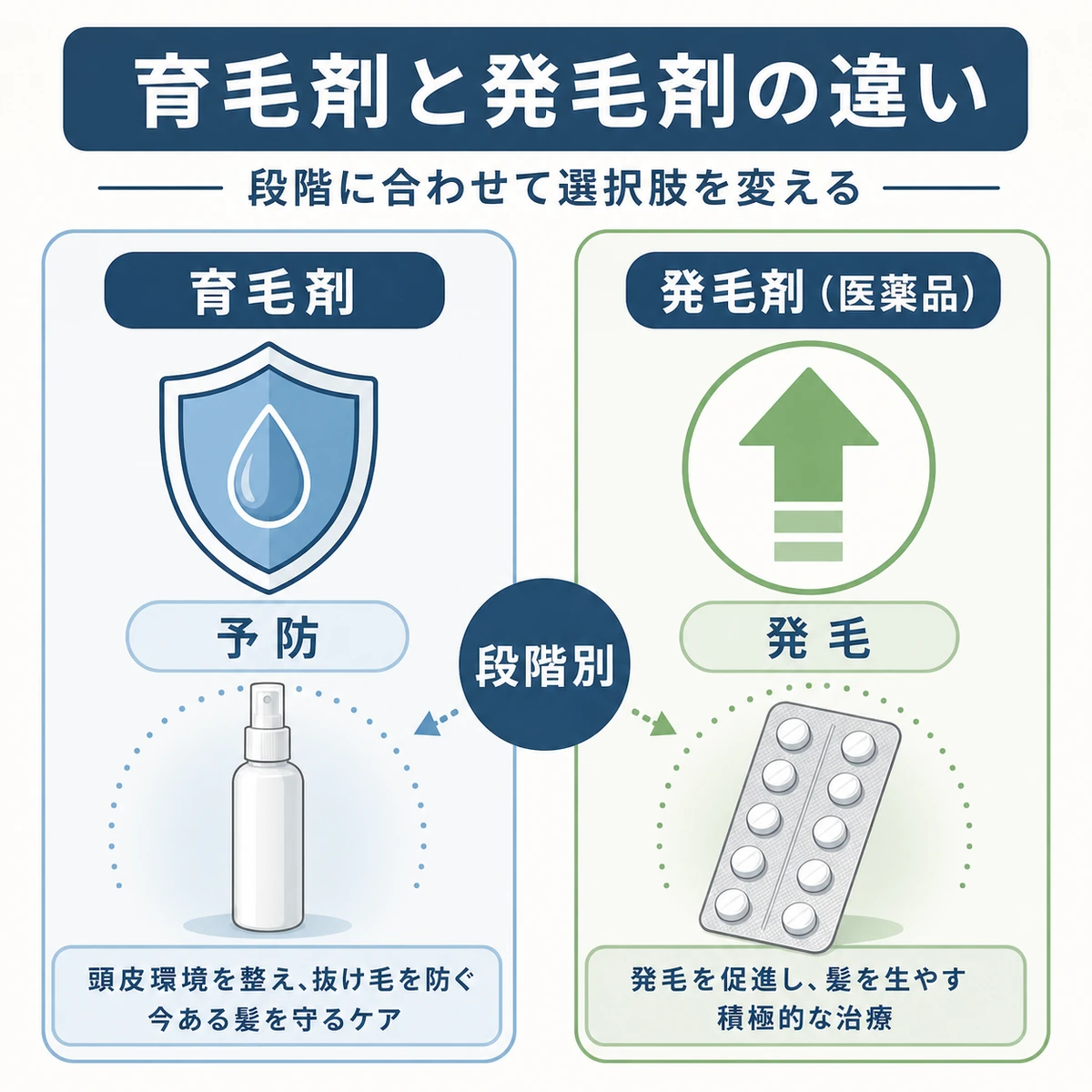 守りの育毛剤と攻めの発毛剤の役割の違いを盾と矢印で対比した解説イラスト