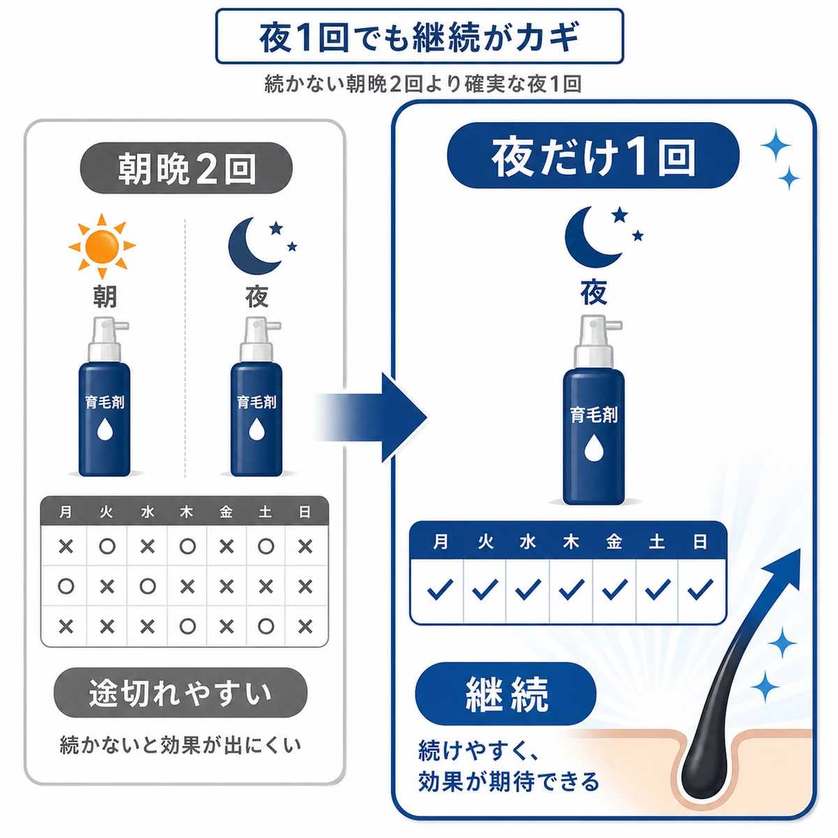 朝晩2回で途切れるより夜だけ1回を継続するほうが続けやすいことを対比した育毛の医療イラスト
