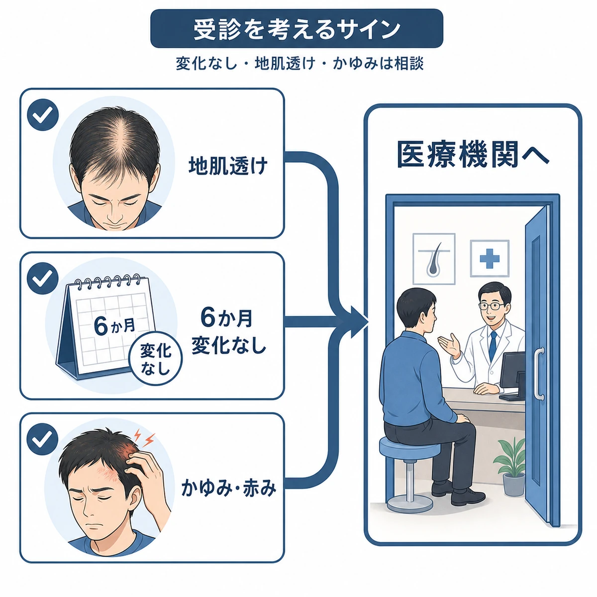 地肌の透けや6か月変化なしやかゆみが続くときに医療機関へ相談する目安を表した医療イラスト