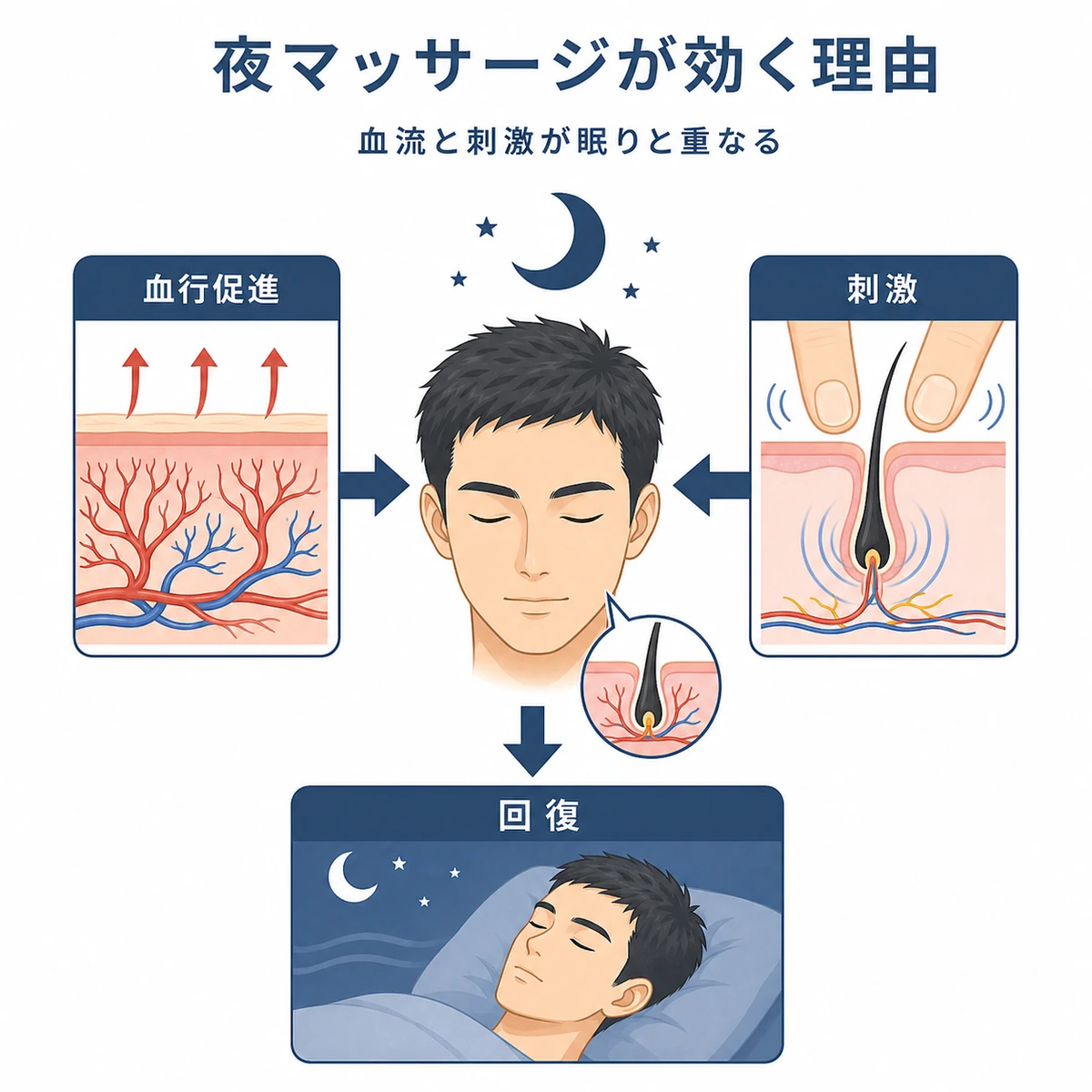 夜の頭皮マッサージが血行促進と刺激の2つの経路で髪の成長を助ける仕組みを表した医療イラスト