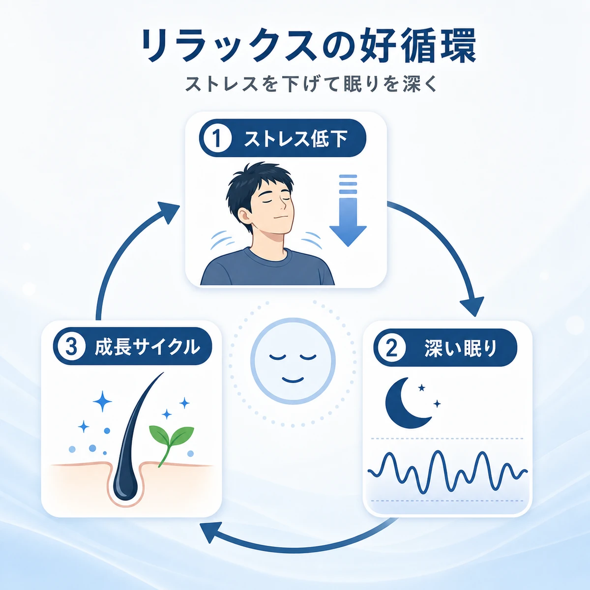 頭皮マッサージでストレスが下がり良質な睡眠を経て髪の成長サイクルが整う好循環を表した医療イラスト