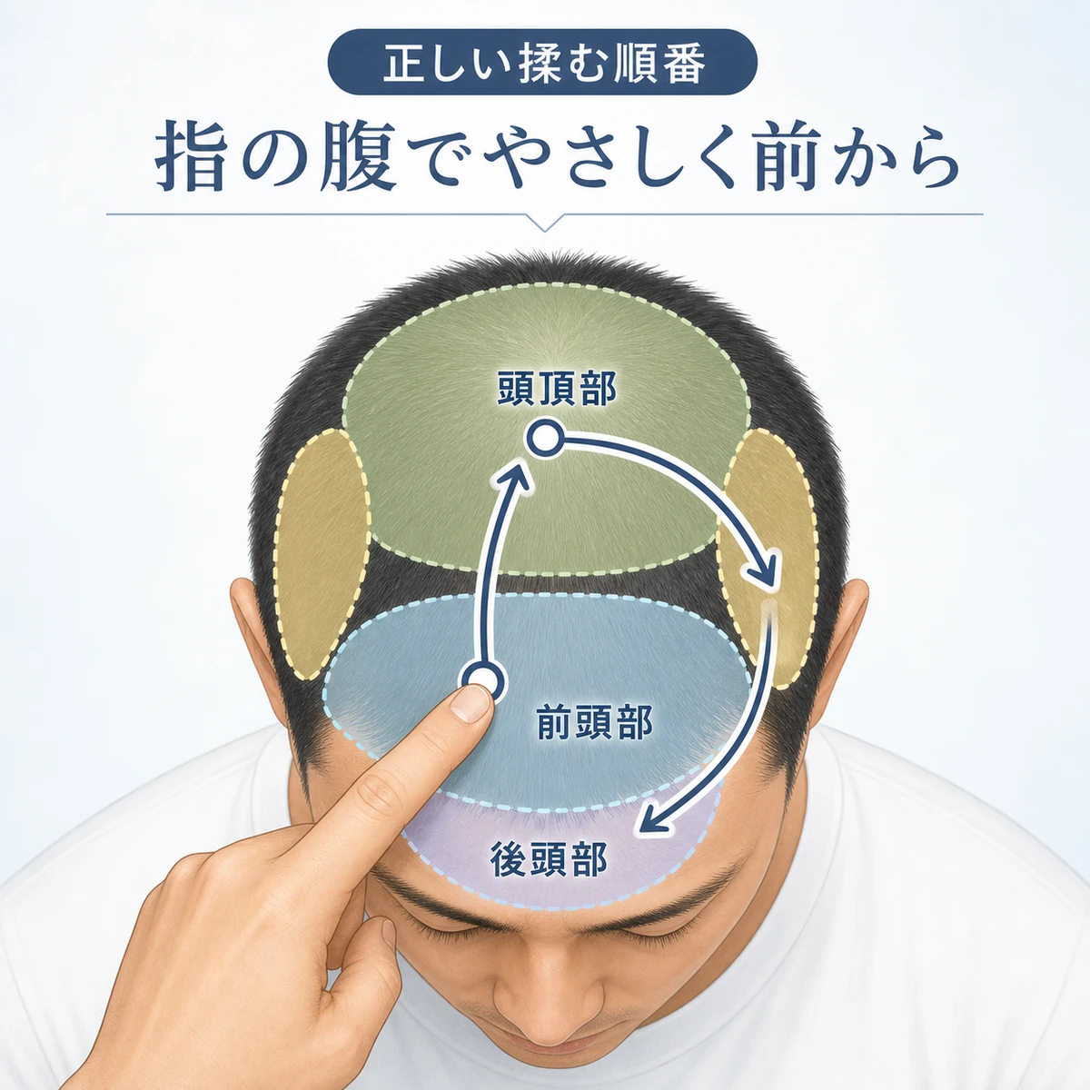 頭部を真上から見て前頭部から後頭部へ順に揉みほぐす正しいマッサージの順番を表した医療イラスト