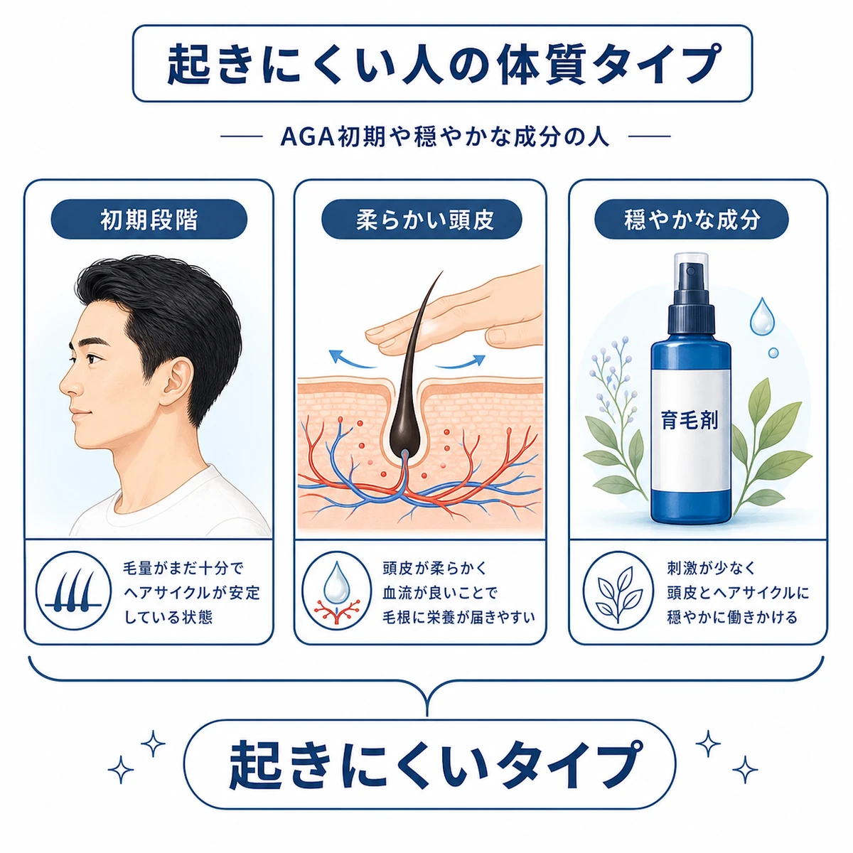 初期脱毛が起きにくい男性の体質タイプを分類した医療イラスト