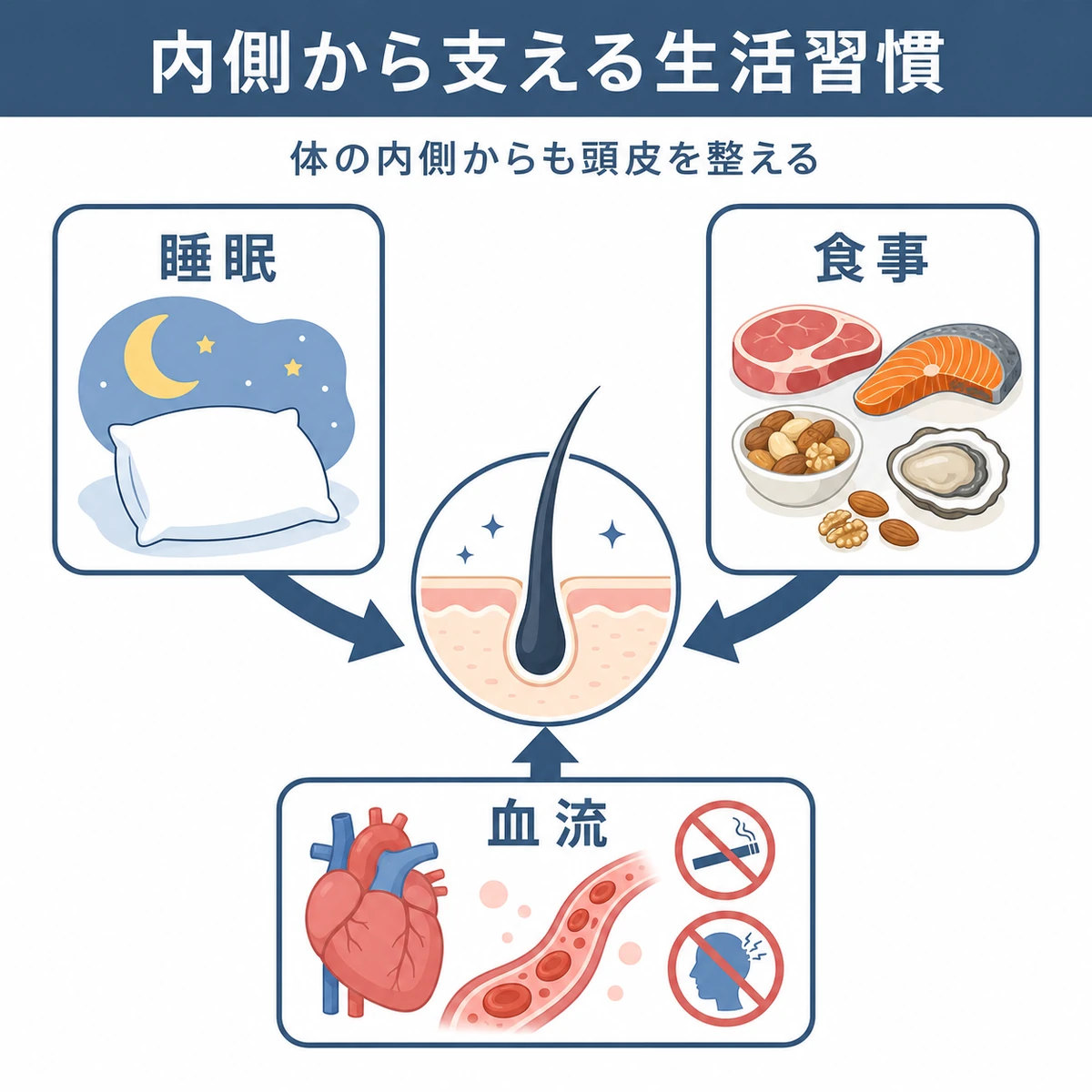 睡眠と食事と血流の3つの生活習慣が頭皮環境を支える関係を表したイラスト