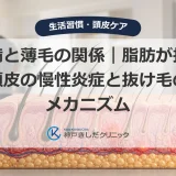 肥満と薄毛の関係｜脂肪が招く頭皮の慢性炎症と抜け毛のメカニズム