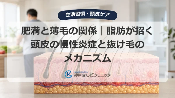 肥満と薄毛の関係｜脂肪が招く頭皮の慢性炎症と抜け毛のメカニズム