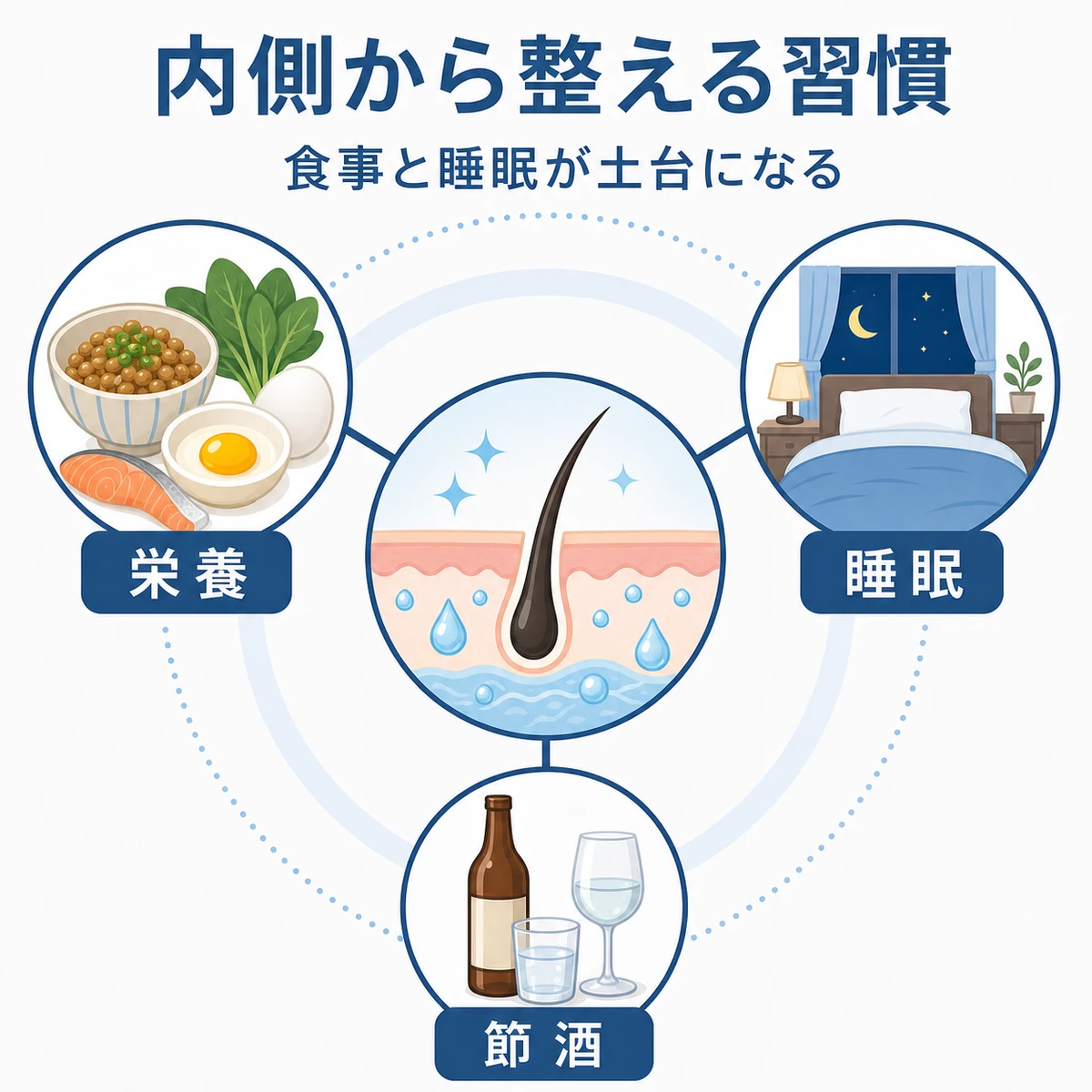 栄養と睡眠と節酒が頭皮環境を内側から支える関係を放射状に描いた医療イラスト