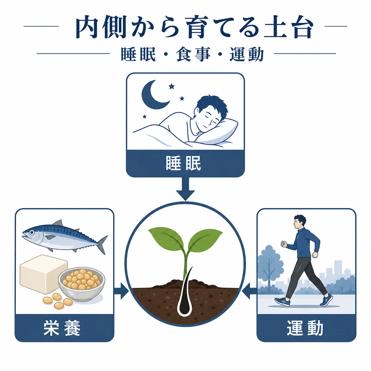 睡眠と栄養と運動が内側から髪の土台を支えることを表した医療イラスト