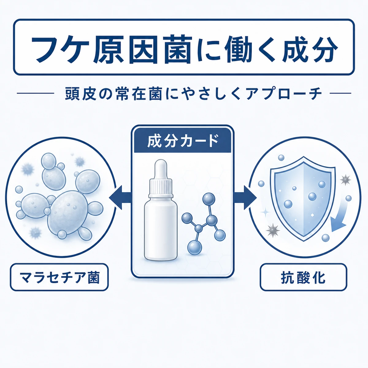 ピロクトンオラミンがフケの原因菌に働きかける仕組みを表した医療イラスト