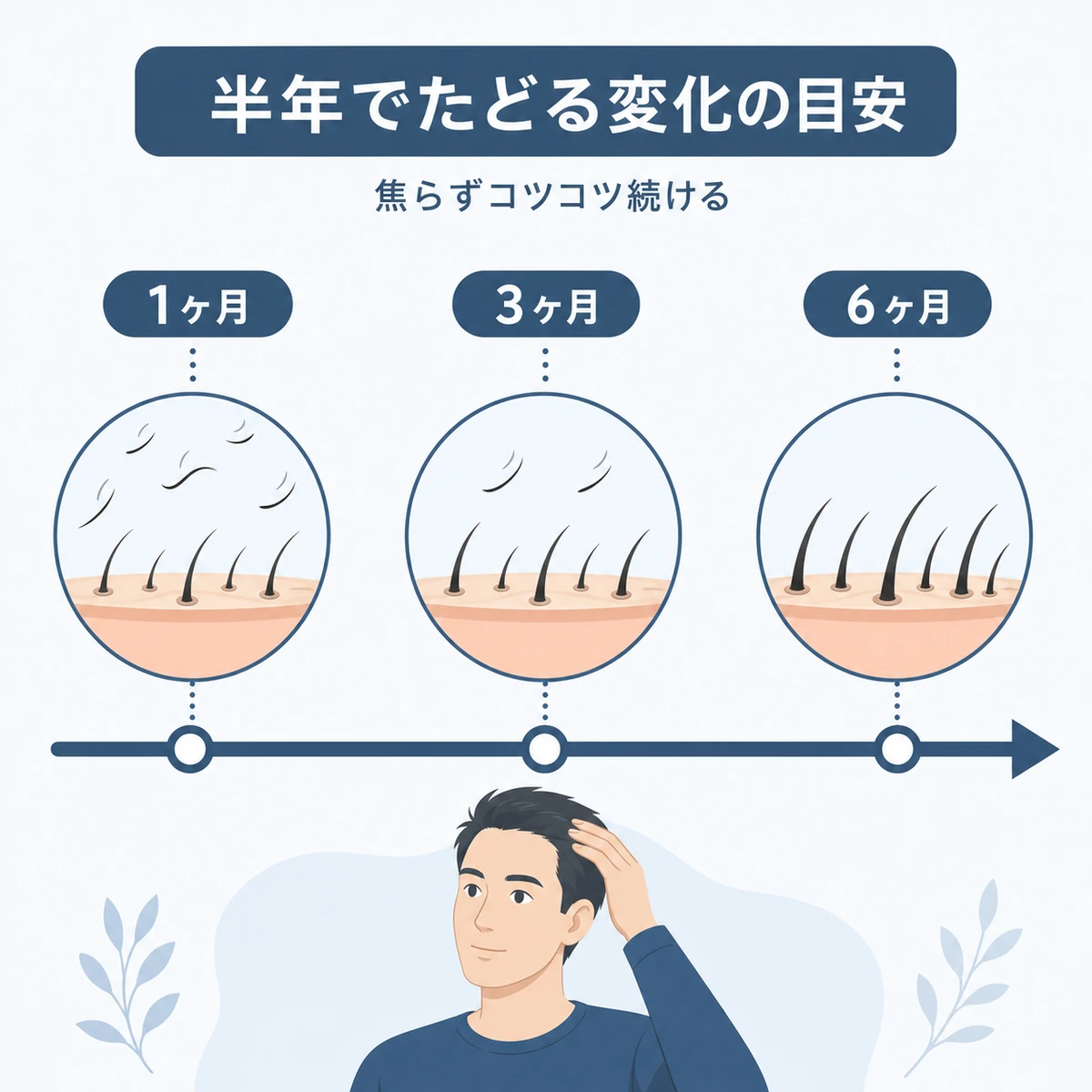 1ヶ月から半年までのケアで髪が少しずつ変化する目安を時系列で表した医療イラスト