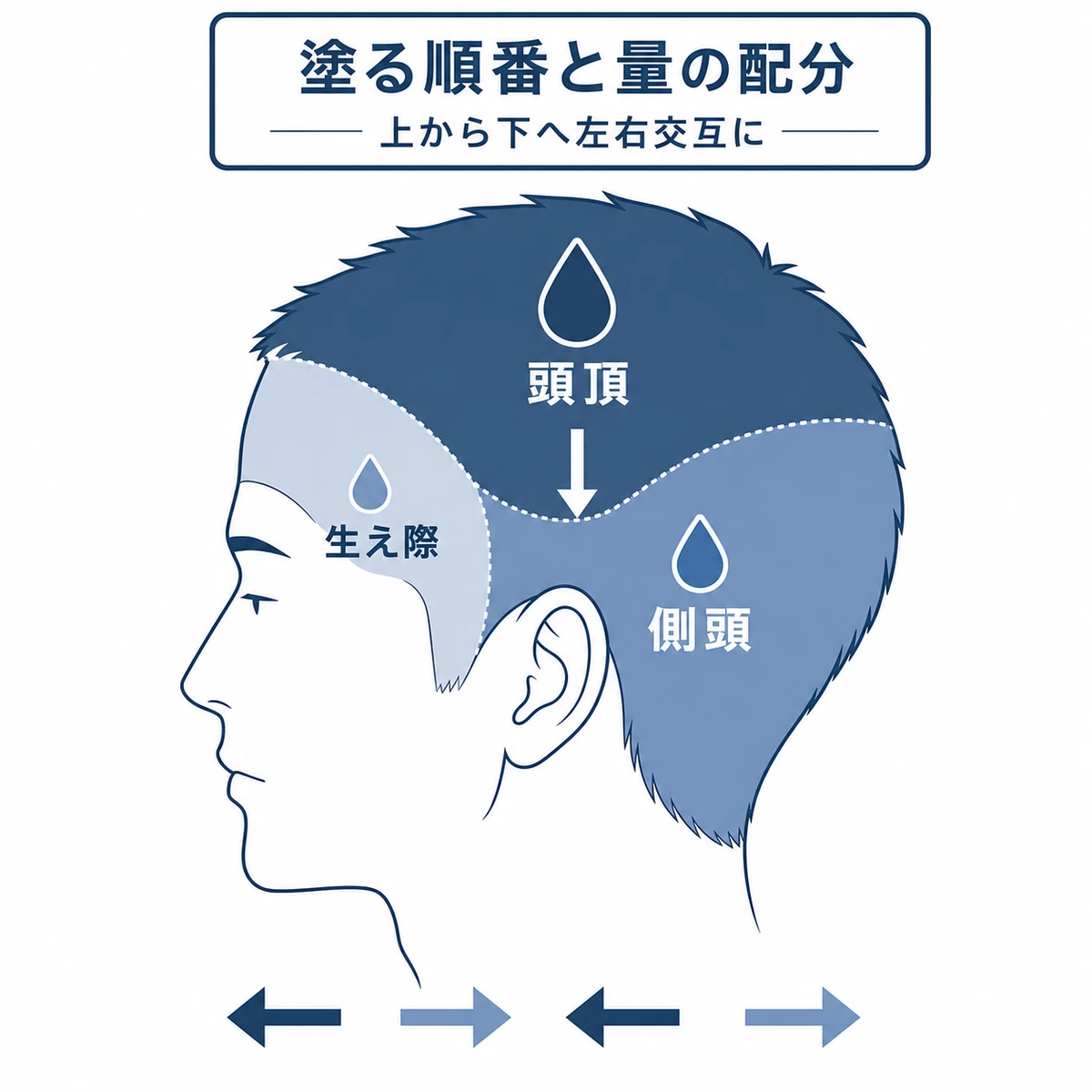 頭頂部から下へ順に塗る量の配分を頭部側面で表した図解イラスト