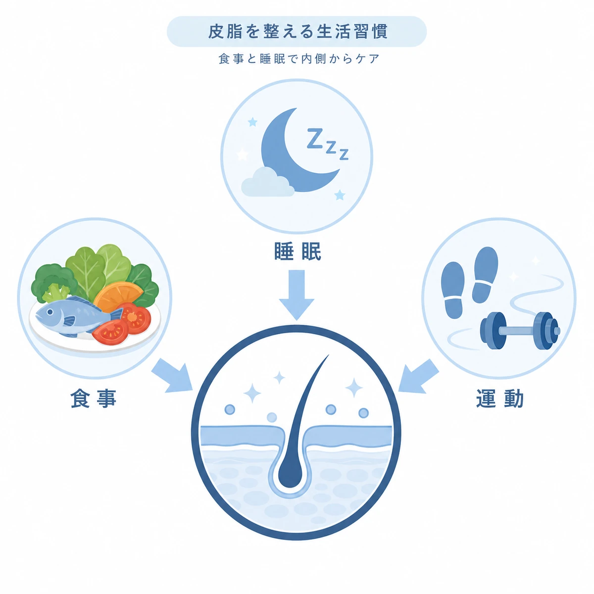食事と睡眠と運動が頭皮の皮脂バランスを整える生活習慣を表した医療イラスト