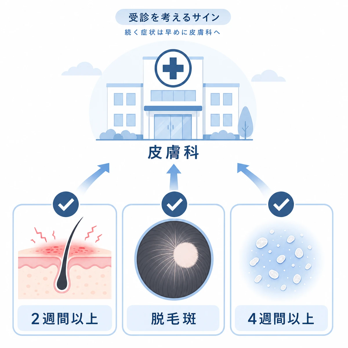 赤みや脱毛斑など皮膚科の受診を考えるサインをまとめたチェック図の医療イラスト