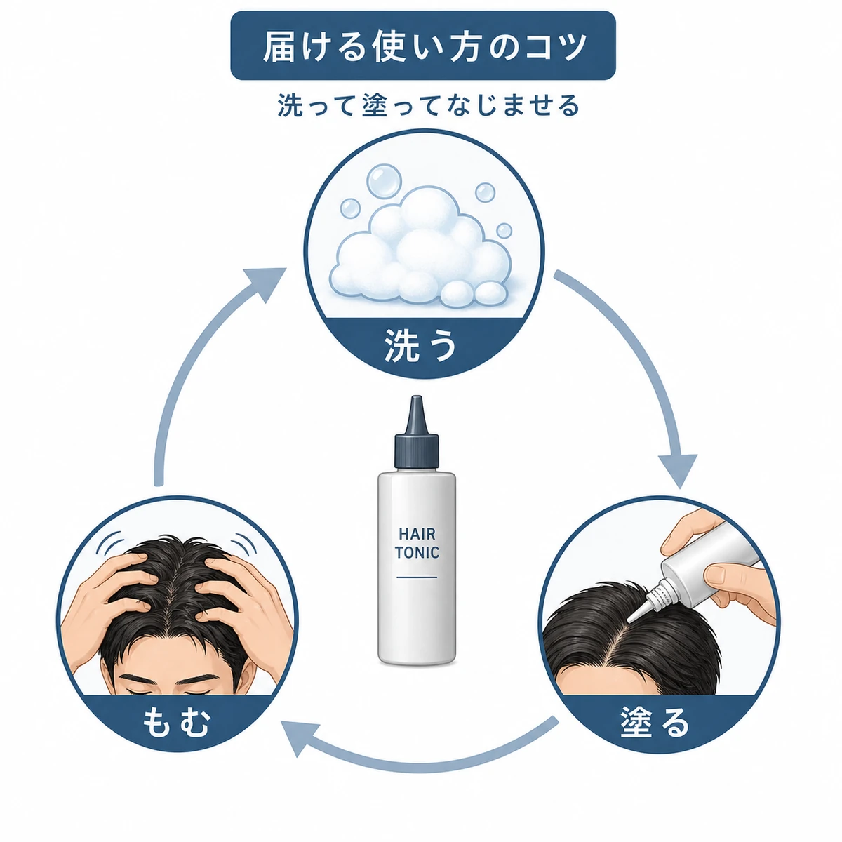 洗う・塗る・もむの毎日のケア習慣を円環で表した育毛の医療イラスト