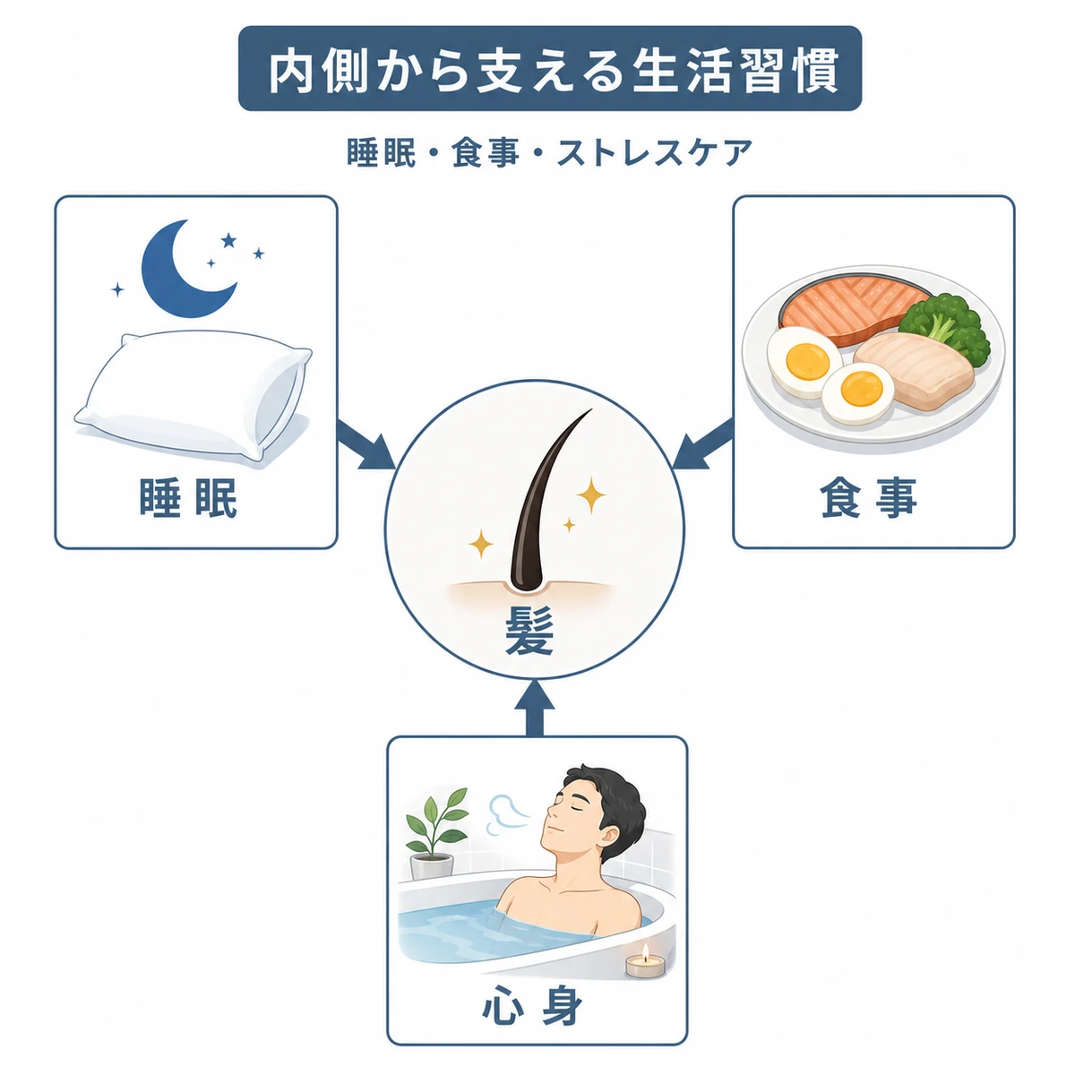 睡眠と食事とストレスケアが髪を内側から支える関係を表した医療イラスト