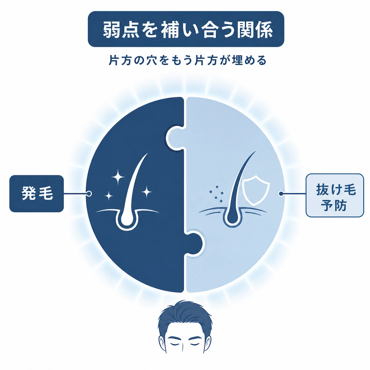 2つの育毛成分が互いの弱点を補い合う相乗の関係を表した医療イラスト