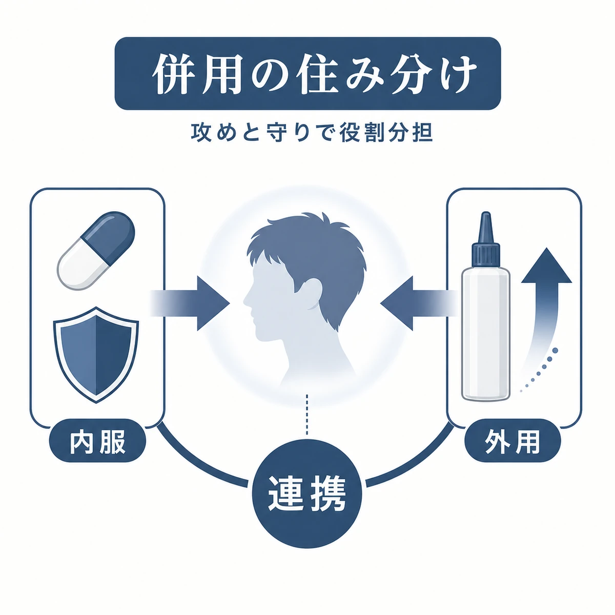 内服薬とリデンシル育毛剤を役割分担で併用する組み合わせを表した医療イラスト