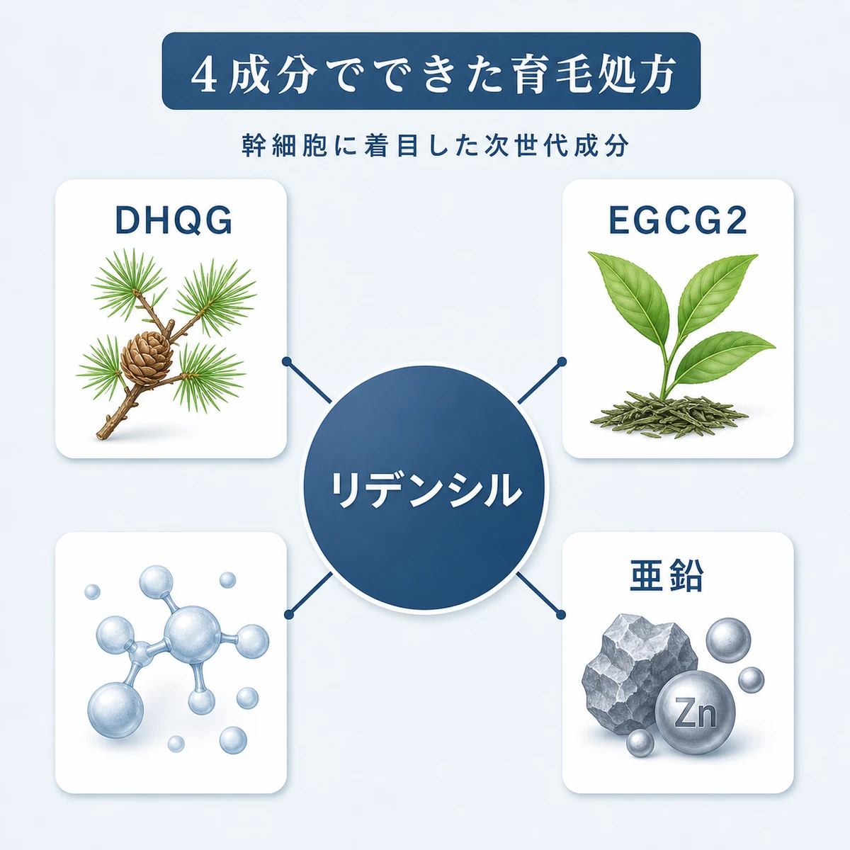 リデンシルを構成する4つの有効成分とその由来を放射状にまとめた育毛成分の相関図イラスト