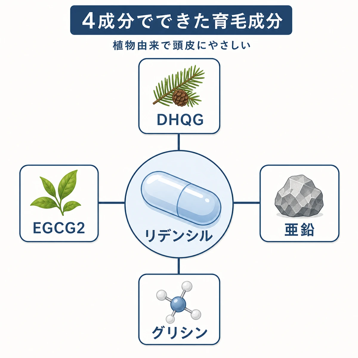 リデンシルを構成する4つの成分と複合体としての役割を表した医療イラスト