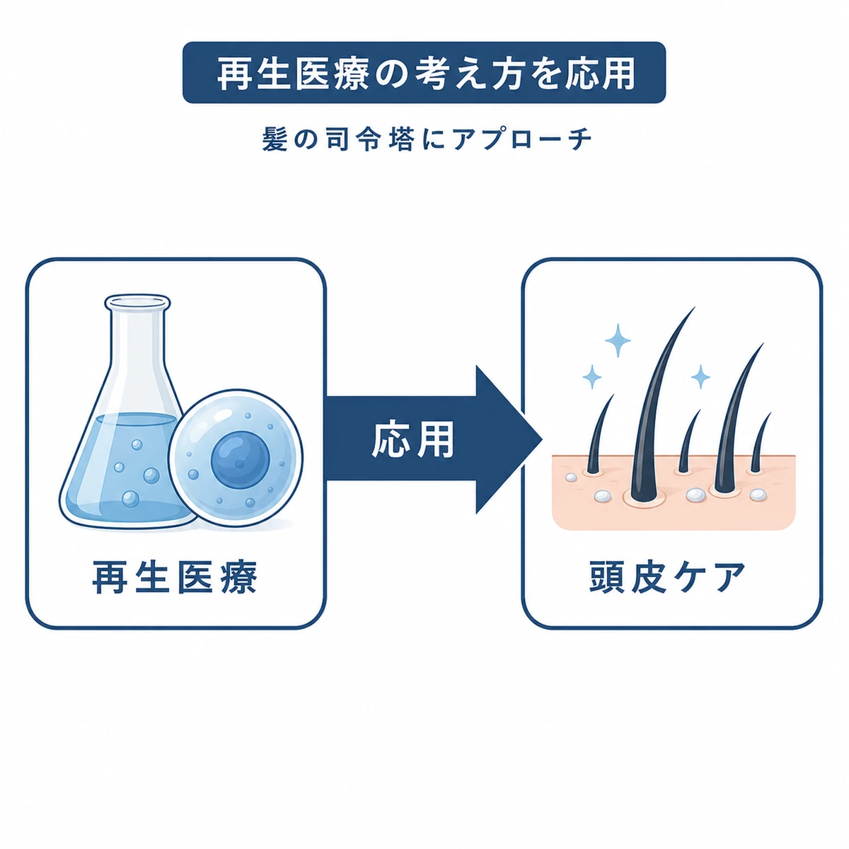 再生医療の考え方が頭皮ケアへ応用される流れを表した医療イラスト