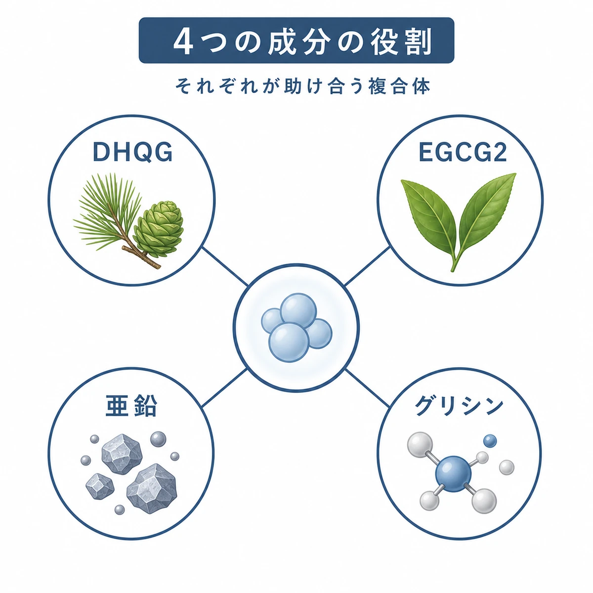 リデンシルを構成する4つの主要成分の役割を表した医療イラスト
