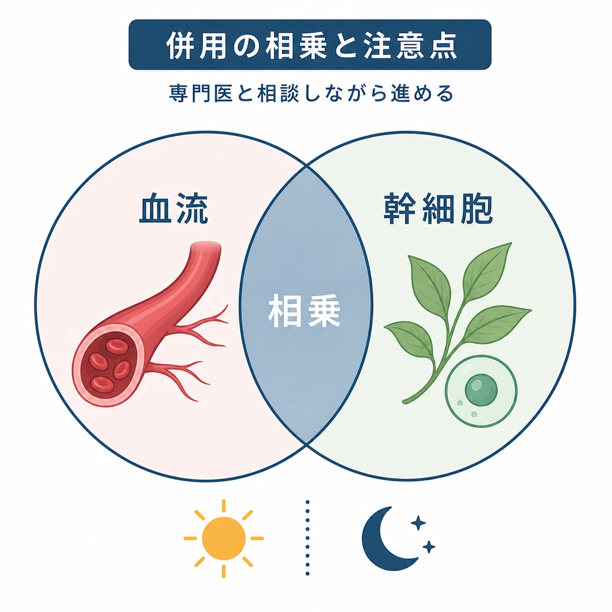 2成分の作用が重なる相乗効果とタイミング分けの工夫を表した医療イラスト