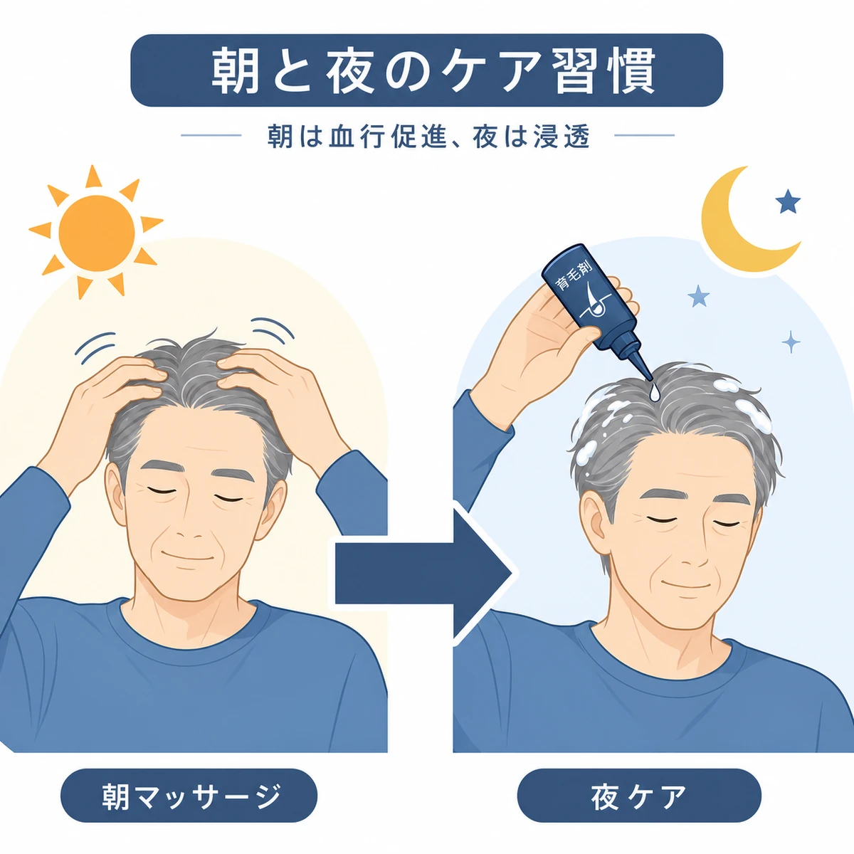定年後の男性が朝の頭皮マッサージと夜の育毛剤ケアを行う一日の流れを表した医療イラスト