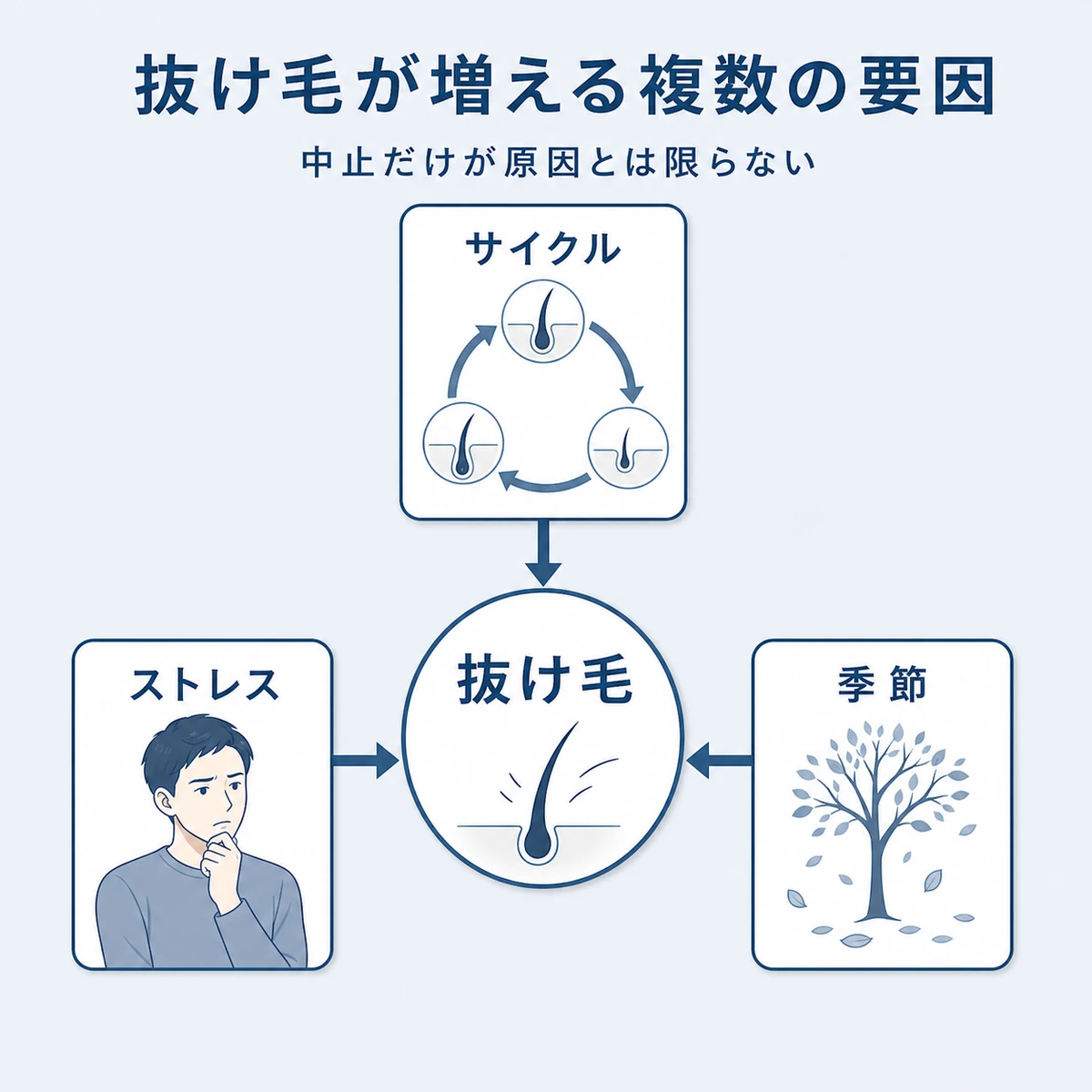 使用中止後の抜け毛にヘアサイクル・ストレス・季節など複数の要因が関わることを表した医療イラスト