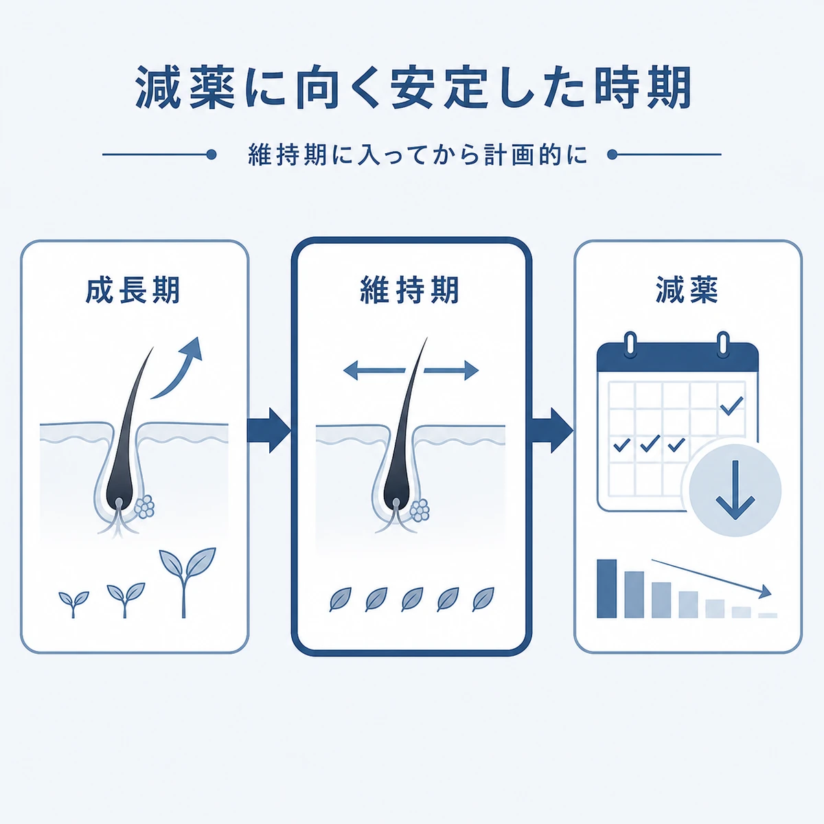 髪の状態が安定した維持期に入ってから計画的に減薬へ進む流れを表した医療イラスト