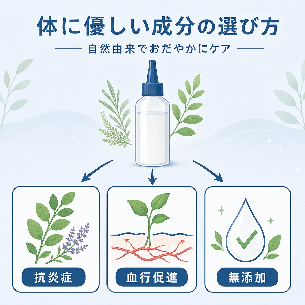 抗炎症・血行促進・無添加という体に優しい育毛剤の選び方の基準を並べた医療イラスト