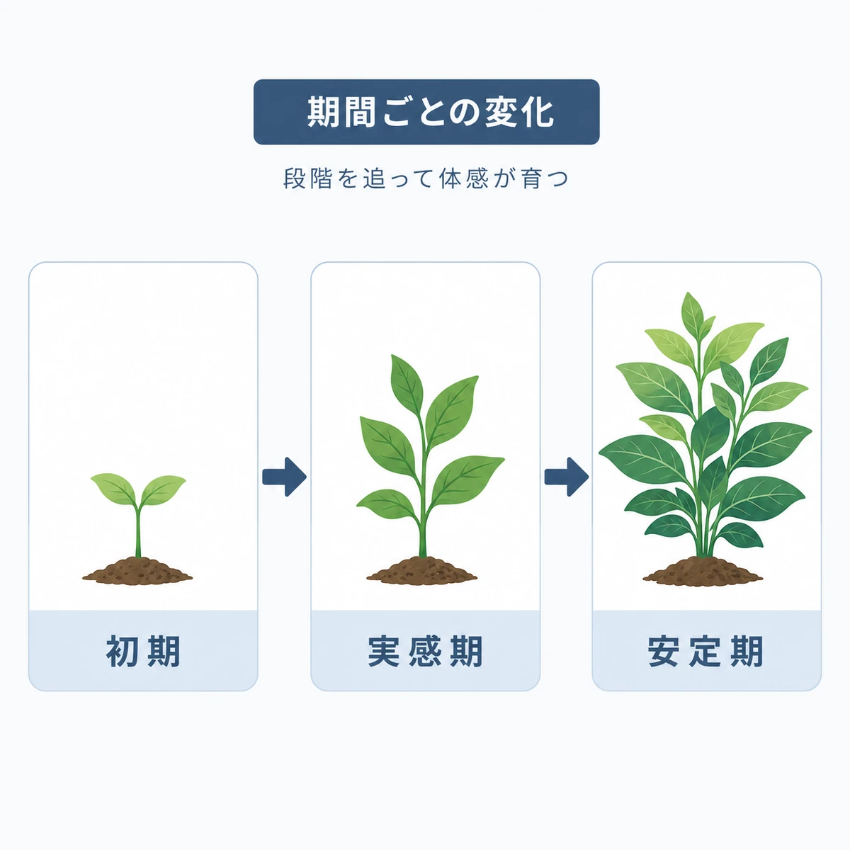 ノコギリヤシの効果が期間ごとに段階的に変わる流れを表した医療イラスト