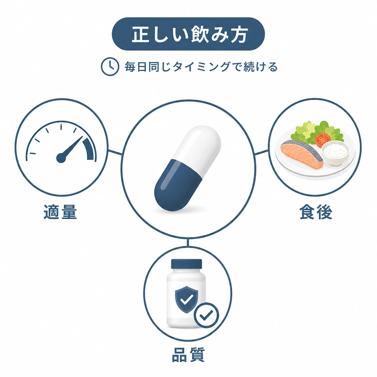 ノコギリヤシの適量と飲み方のポイントを表した医療イラスト