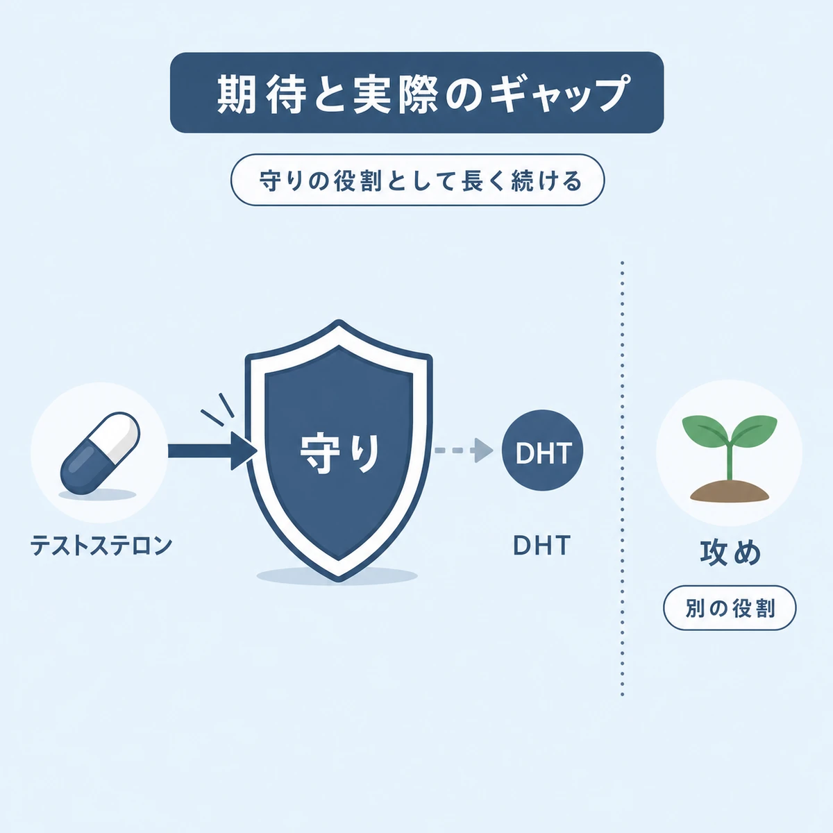 抜け毛を防ぐ守りの役割と発毛の攻めを分けて期待と実際の差を表した医療イラスト