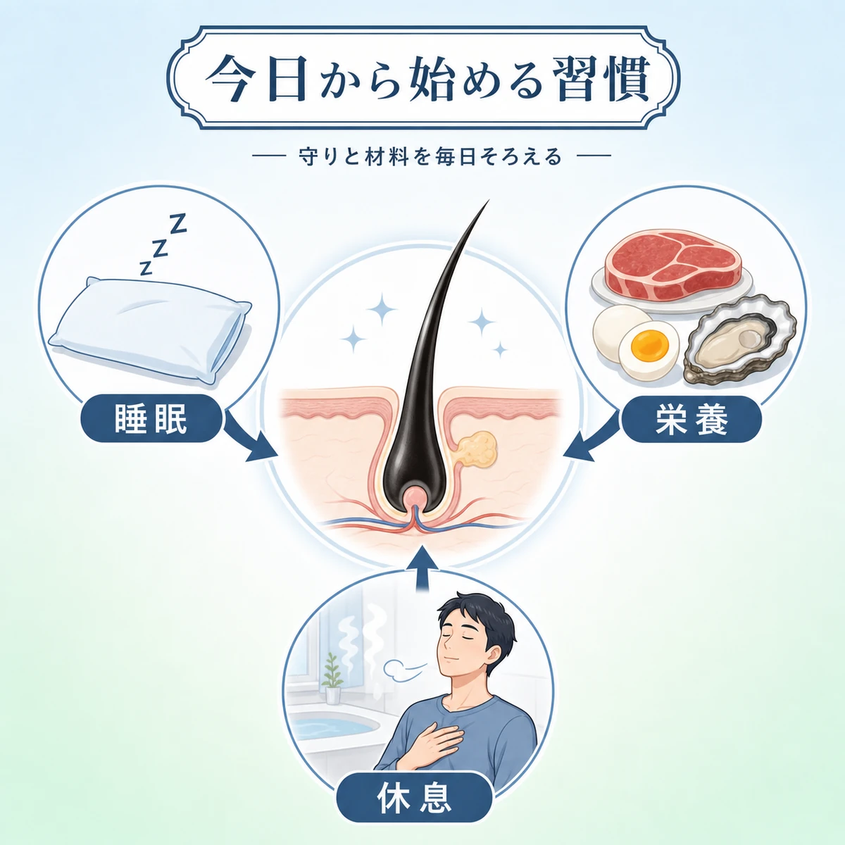 睡眠と栄養と休息の習慣が髪を底上げする行動指針を表した育毛の医療イラスト