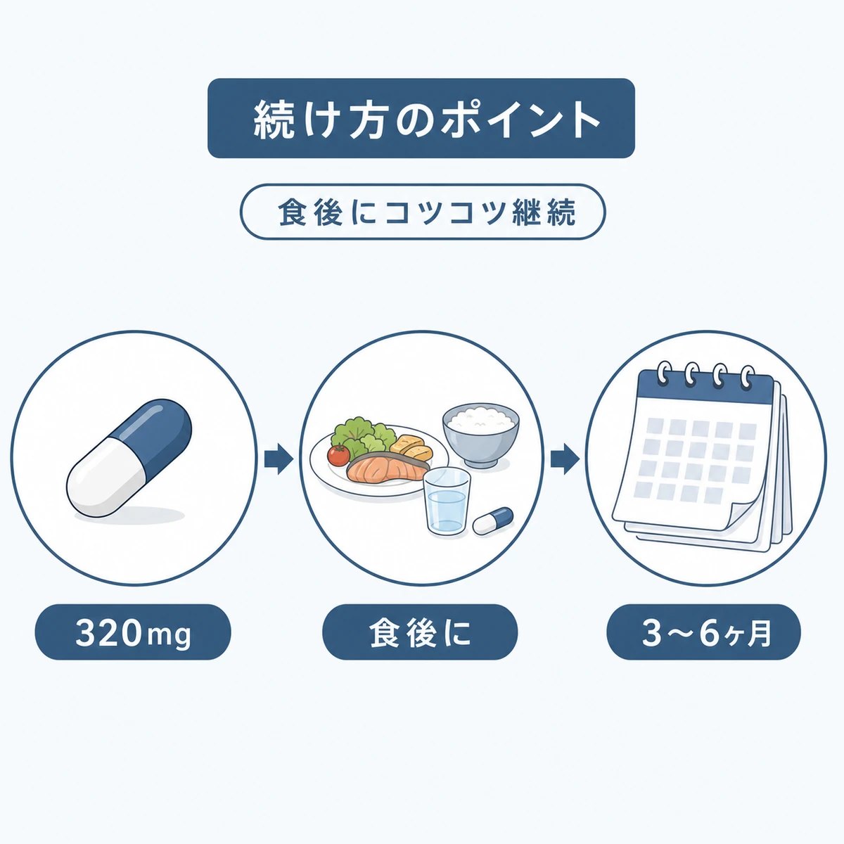 ノコギリヤシの目安量と食後の摂取から継続期間までの流れを表した医療イラスト