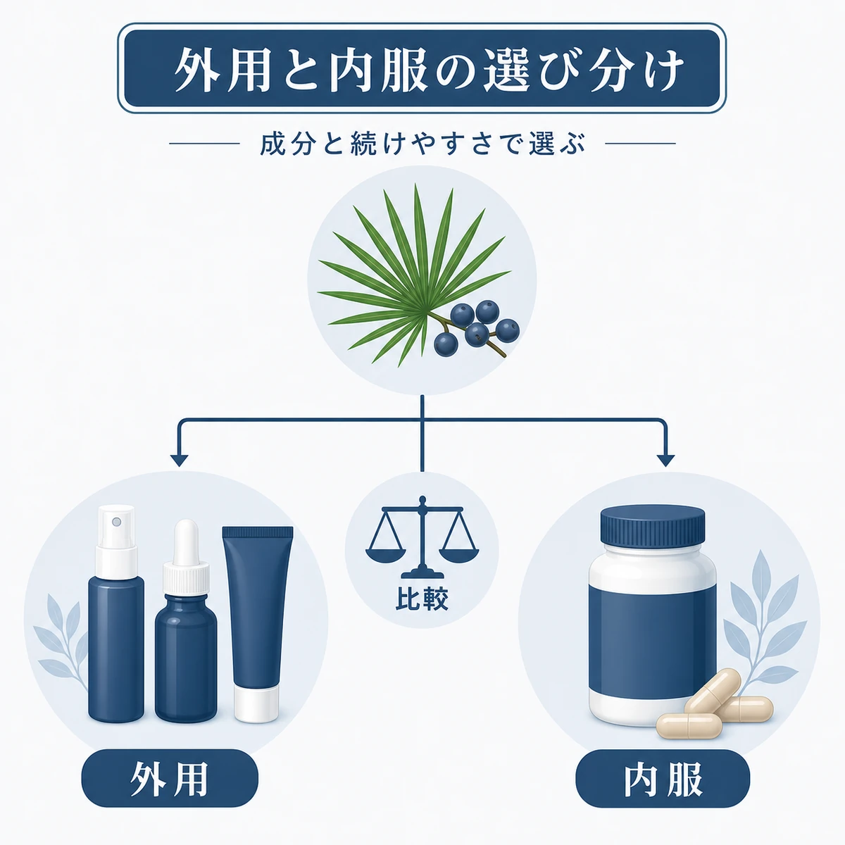 外用と内服のノコギリヤシ育毛剤を枝分かれで分類し比べる育毛イラスト