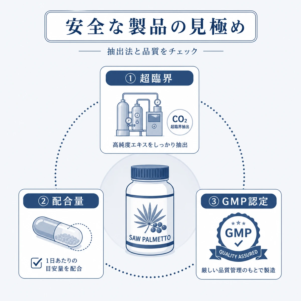 超臨界抽出や配合量やGMP認定など安全なノコギリヤシサプリの見極め基準を表した医療イラスト