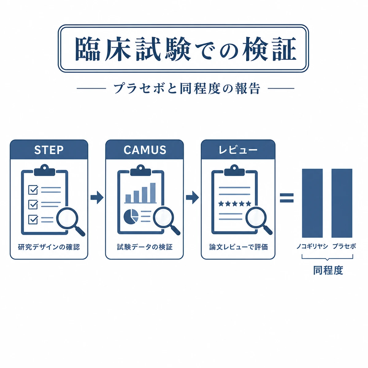 複数の臨床試験でノコギリヤシの安全性を検証した流れを表した医療イラスト