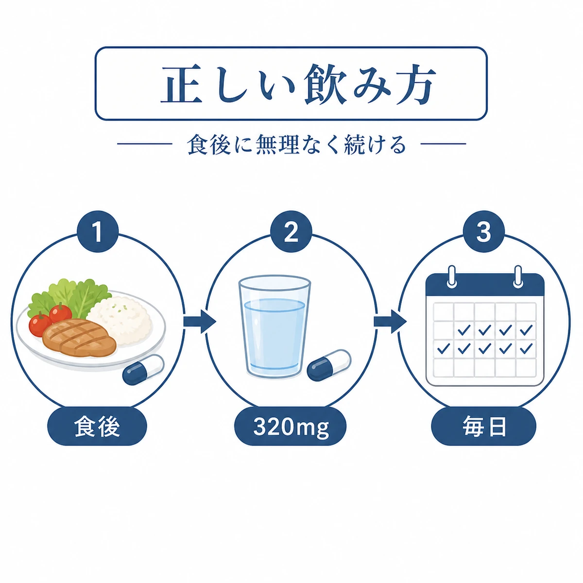 ノコギリヤシを食後に適量で毎日続ける飲み方の流れを表した医療イラスト