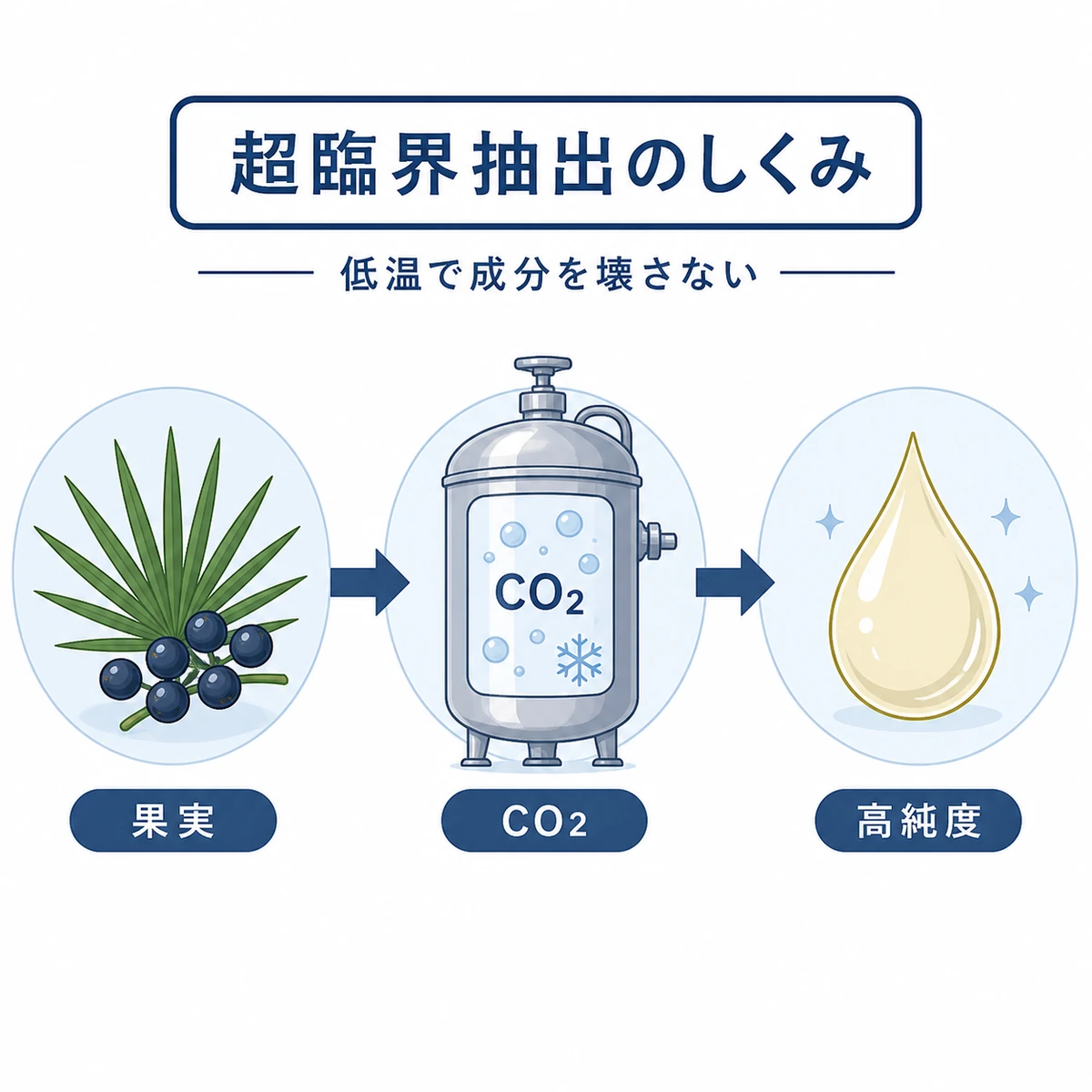 二酸化炭素を使った超臨界抽出で果実から高純度オイルを取り出す流れを表した医療イラスト