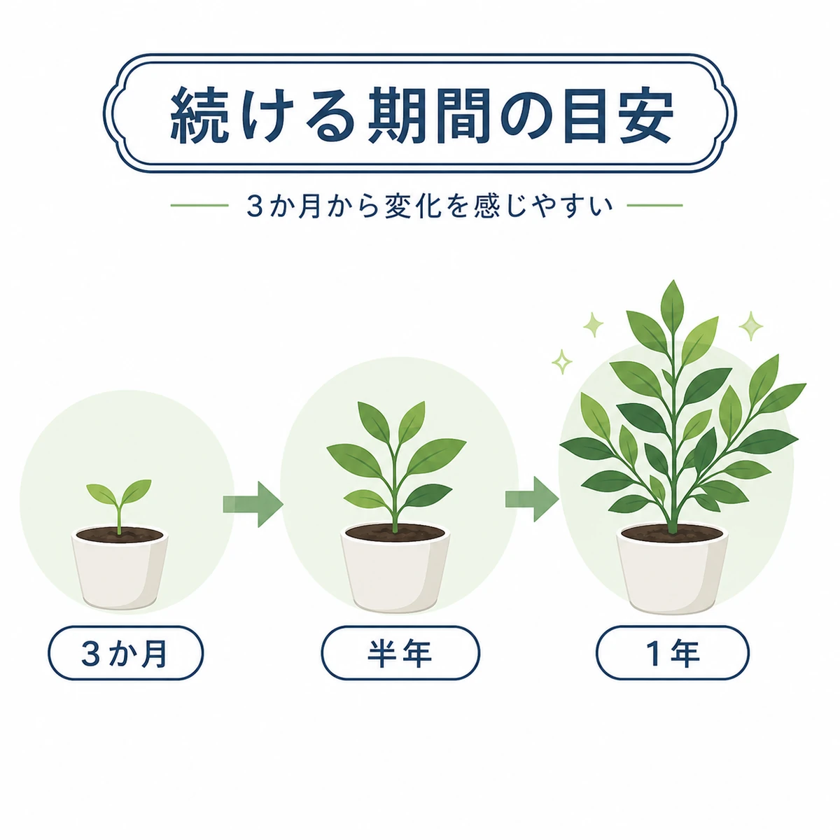 3か月から1年へと継続するほど変化を感じやすくなる期間の目安を表した医療イラスト