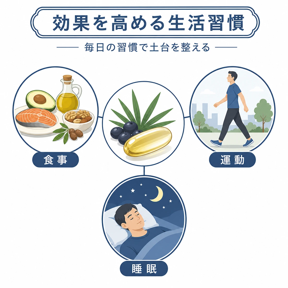 食事や運動や睡眠がノコギリヤシのサポートを支える生活習慣の関係を表した医療イラスト