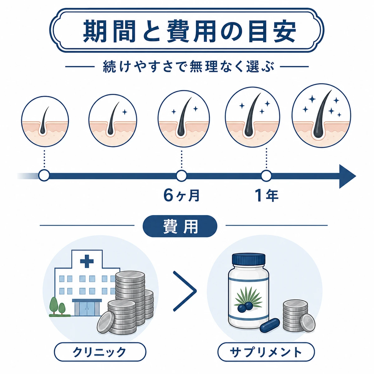 AGA対策にかかる継続期間と月々の費用感の目安を時間軸で表した医療イラスト