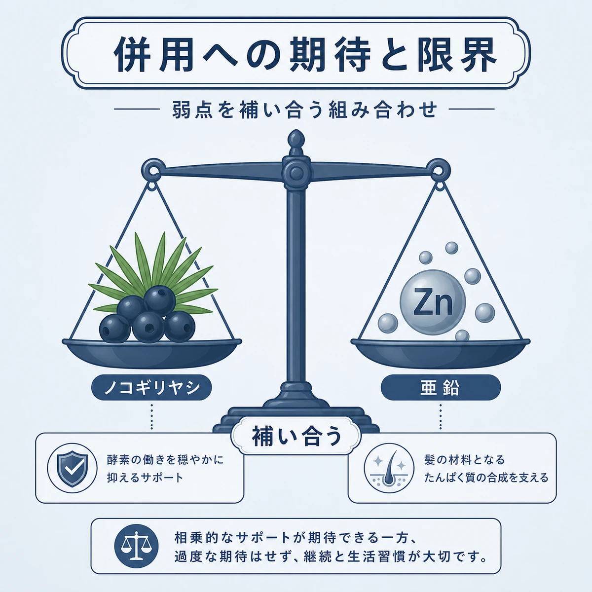 ノコギリヤシと亜鉛が育毛の弱点を補い合う関係を天びんで表した医療イラスト