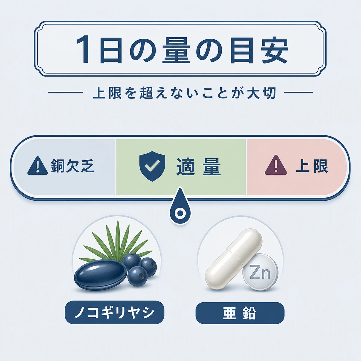 ノコギリヤシと亜鉛の安全な摂取量の範囲と上限をメーターで表した医療イラスト
