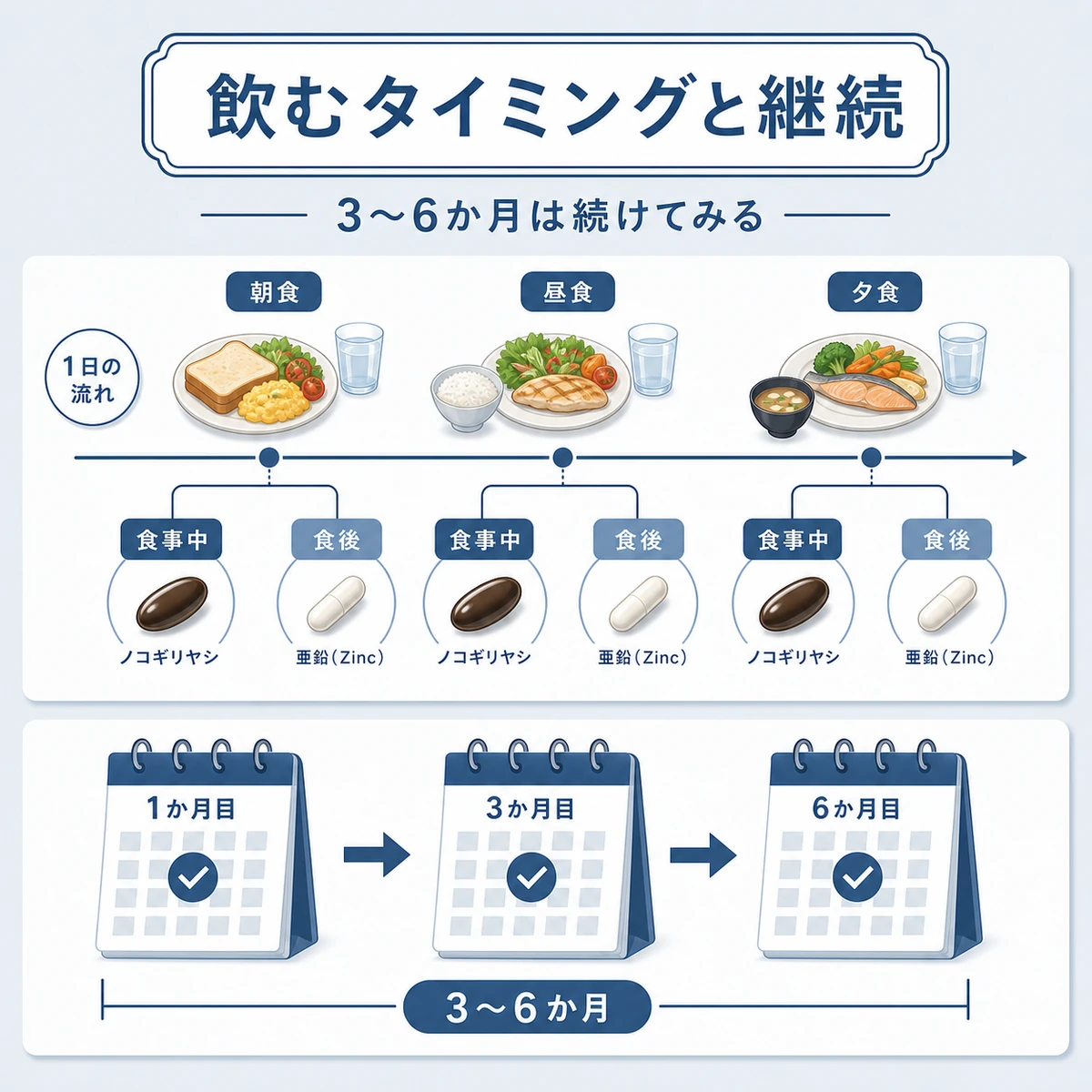 ノコギリヤシと亜鉛を飲むタイミングと数か月の継続を時間軸で表した医療イラスト