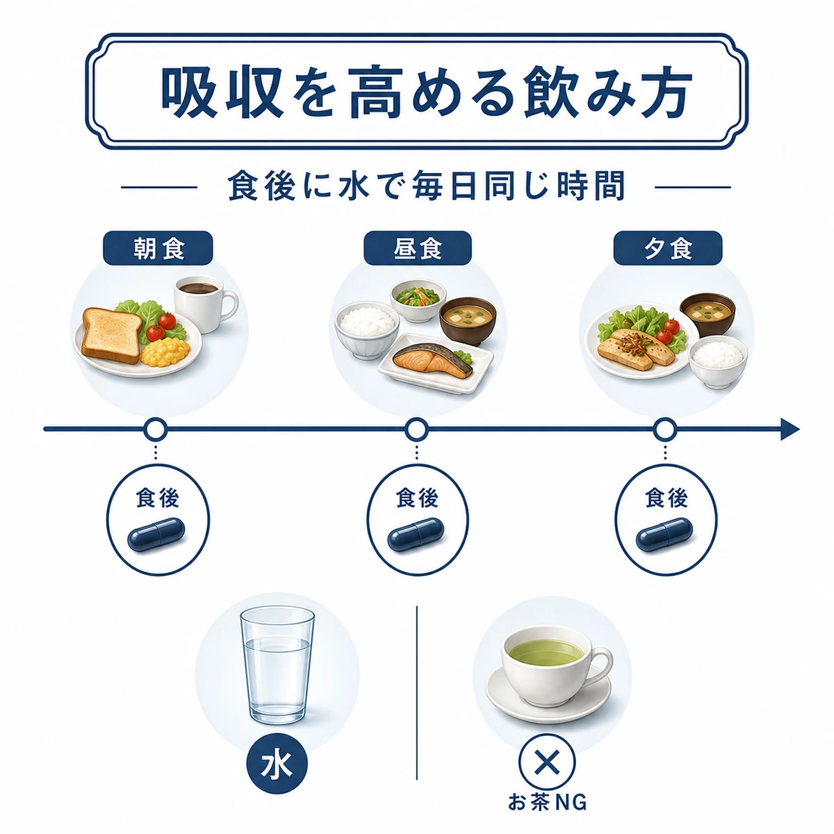 食後に水で飲みお茶を避ける摂取タイミングと飲み方を時間軸で表した医療イラスト