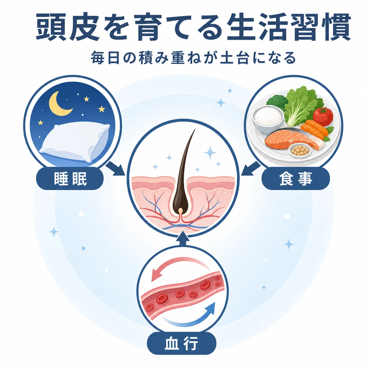 睡眠と食事と血行が健やかな頭皮を支える生活習慣の関係を表した医療イラスト